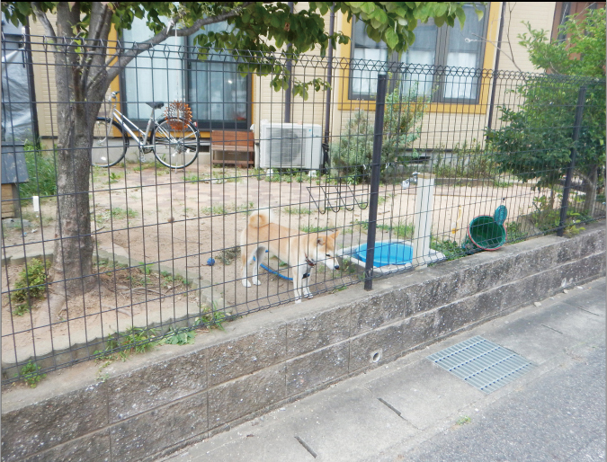 外構・エクステリア工事 施工前